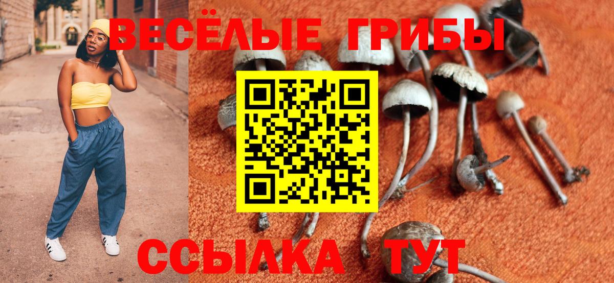 Галлюциногенные грибы Magic Shrooms  Вход с VPN  как найти закладки  Гусиноозёрск 